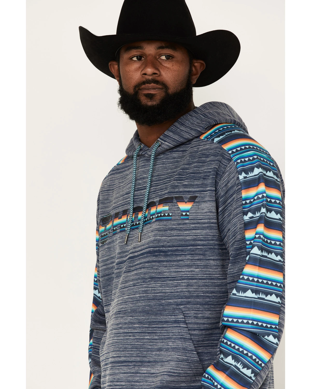 Hooey Men's Stripe Landscape Logo Hooded Sweatshirt - Image 2